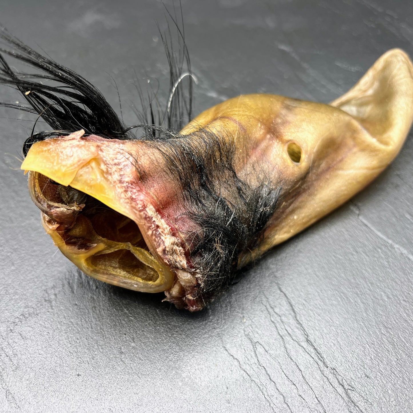 Rinderohr getrocknet - Dein-Landmetzger.de