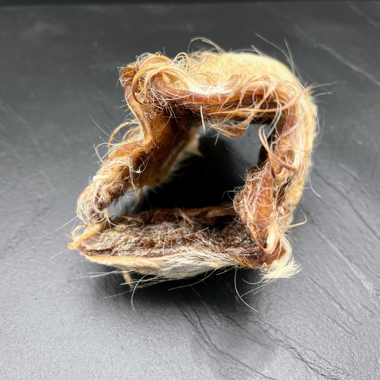 Rindernase getrocknet - Dein-Landmetzger.de