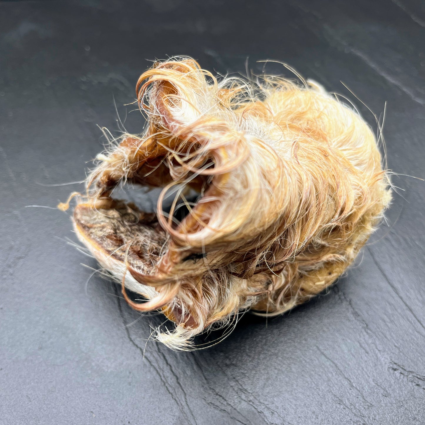 Rindernase getrocknet - Dein-Landmetzger.de